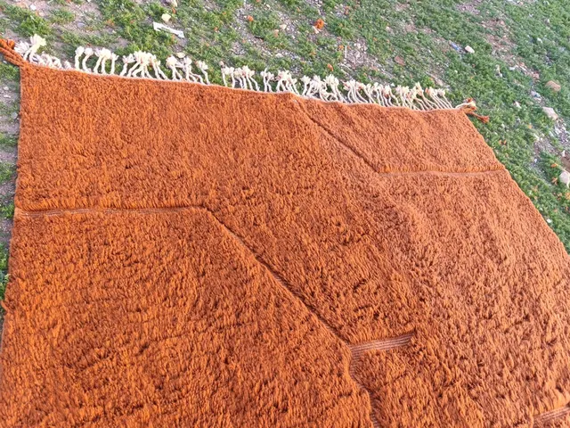 Tapis berbère Tissint terracotta — tapis berbères contemporains