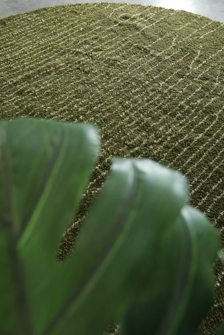 Tapis rond berbère Ouanoukrim vert, vue 5 sur 7