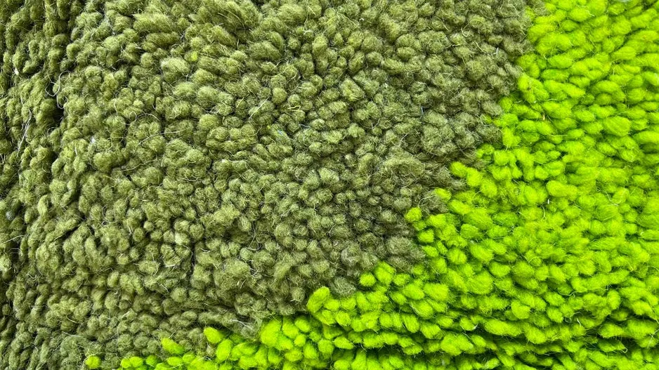 Tapis rond berbère Tafsut vert aux motifs géométriques, vue 4 sur 4